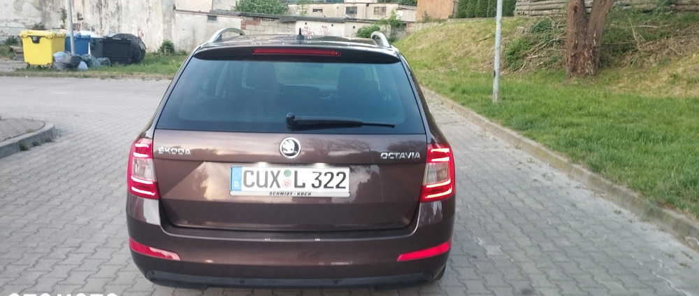 Skoda Octavia cena 40800 przebieg: 182000, rok produkcji 2015 z Złotoryja małe 704